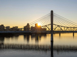 Louisvilleky head