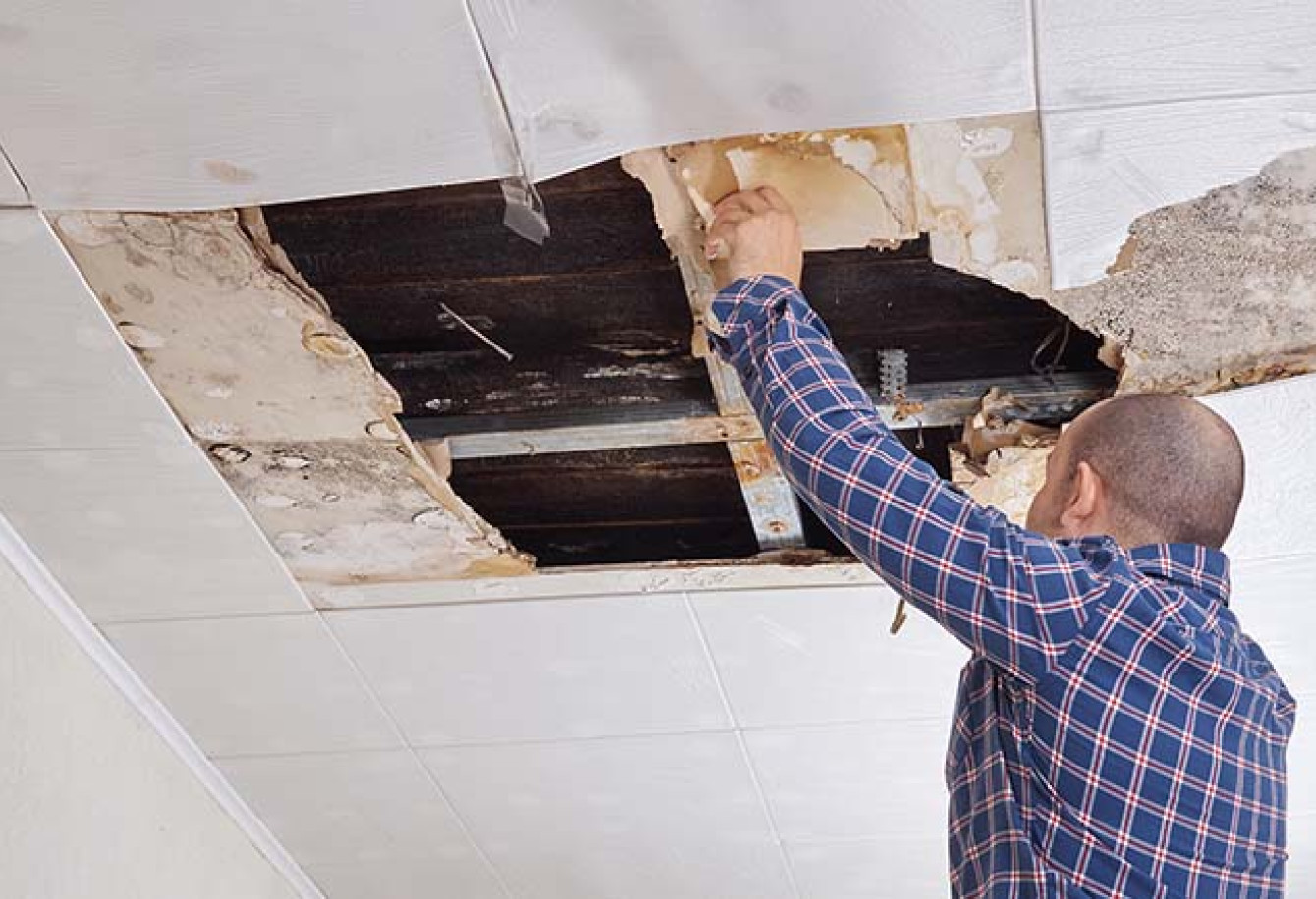 Man Repairing Ceiling Tiles Damaged by Water