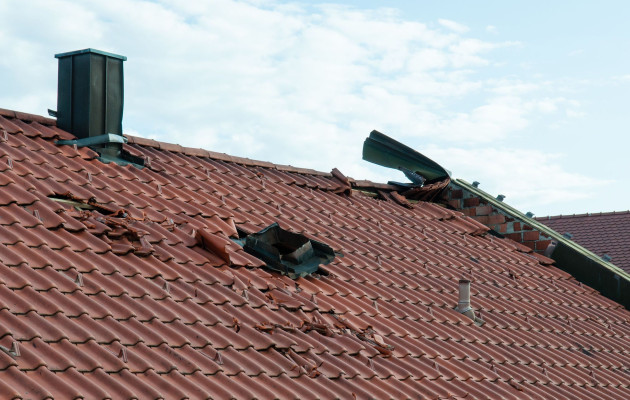 Globe Roof