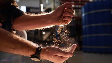 Man Grain CloseUp 1307245338